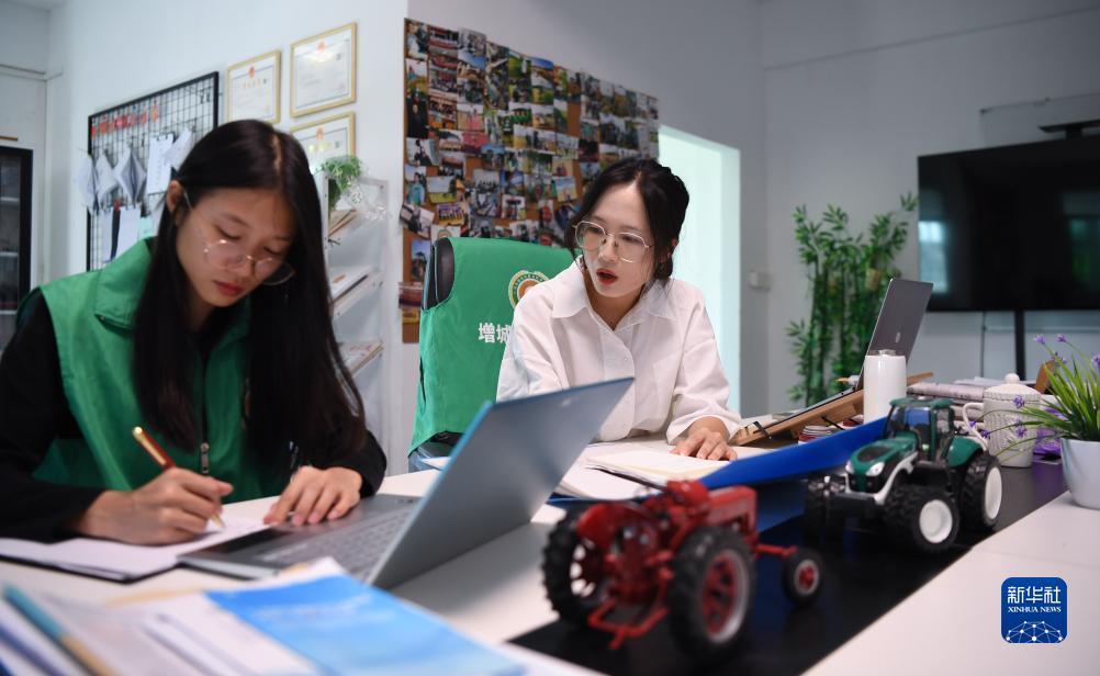 轮盘游戏小说